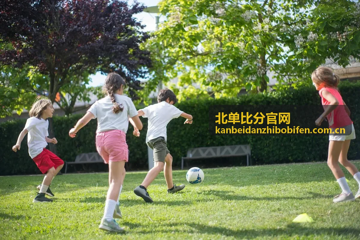 北单比分官网胜平负玩法解读配图